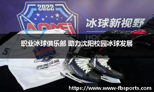 职业冰球俱乐部 助力沈阳校园冰球发展